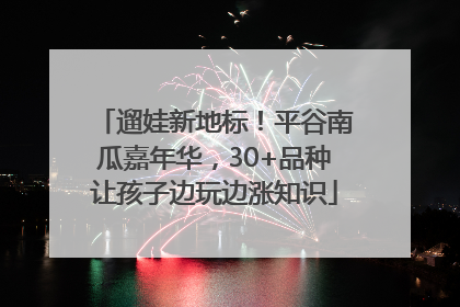 遛娃新地标！平谷南瓜嘉年华，30+品种让孩子边玩边涨知识