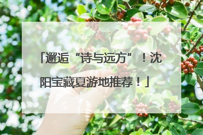 邂逅“诗与远方”！沈阳宝藏夏游地推荐！