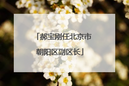 郝宝刚任北京市朝阳区副区长