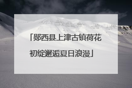 郧西县上津古镇荷花初绽邂逅夏日浪漫