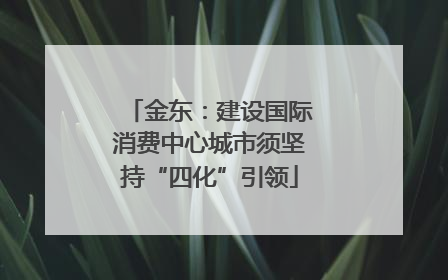 金东：建设国际消费中心城市须坚持“四化”引领