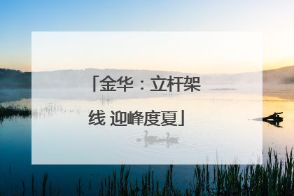 金华：立杆架线 迎峰度夏