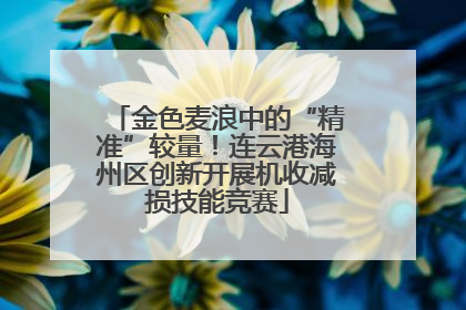 金色麦浪中的“精准”较量！连云港海州区创新开展机收减损技能竞赛