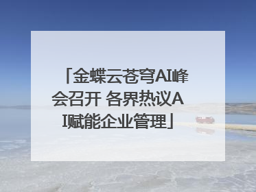 金蝶云苍穹AI峰会召开 各界热议AI赋能企业管理