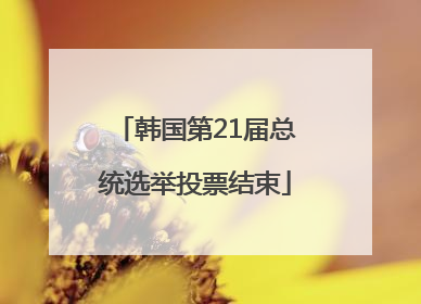 韩国第21届总统选举投票结束