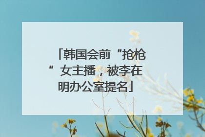 韩国会前“抢枪”女主播，被李在明办公室提名