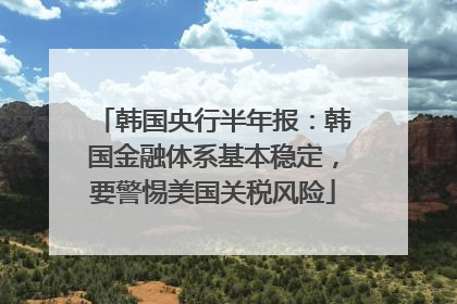 韩国央行半年报：韩国金融体系基本稳定，要警惕美国关税风险