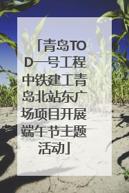 青岛TOD一号工程中铁建工青岛北站东广场项目开展端午节主题活动