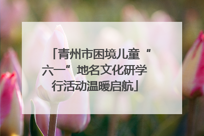 青州市困境儿童“六一”地名文化研学行活动温暖启航