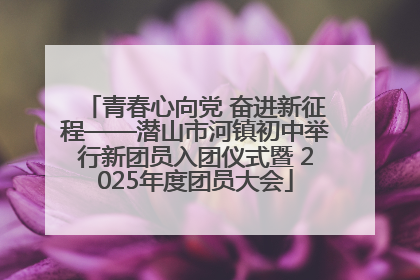 青春心向党 奋进新征程——潜山市河镇初中举行新团员入团仪式暨 2025年度团员大会