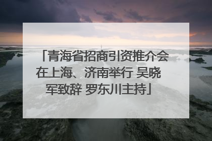 青海省招商引资推介会在上海、济南举行 吴晓军致辞 罗东川主持