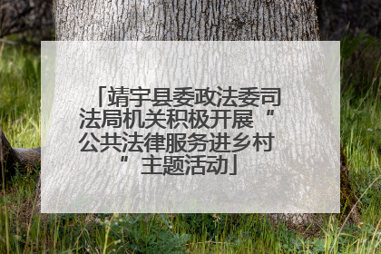 靖宇县委政法委司法局机关积极开展“公共法律服务进乡村”主题活动