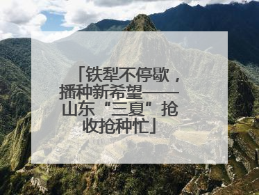 铁犁不停歇，播种新希望——山东“三夏”抢收抢种忙
