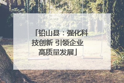 铅山县：强化科技创新 引领企业高质量发展