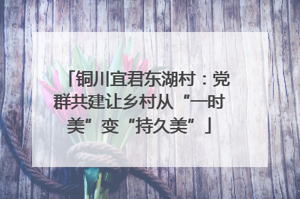 铜川宜君东湖村：党群共建让乡村从“一时美”变“持久美”