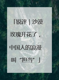 锐评｜沙漠玫瑰开花了，中国人的浪漫叫“担当”