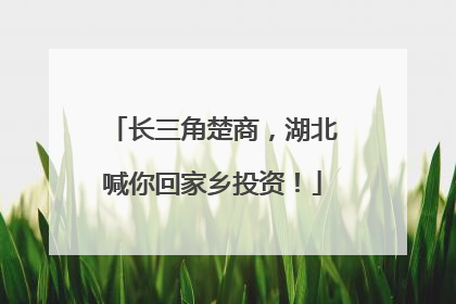 长三角楚商，湖北喊你回家乡投资！