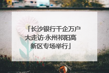 长沙银行千企万户大走访·永州祁阳高新区专场举行