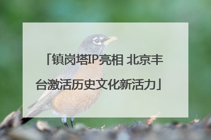 镇岗塔IP亮相 北京丰台激活历史文化新活力