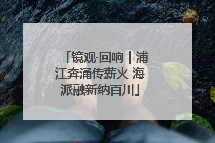 镜观·回响｜浦江奔涌传薪火 海派融新纳百川