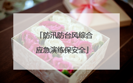 防汛防台风综合应急演练保安全