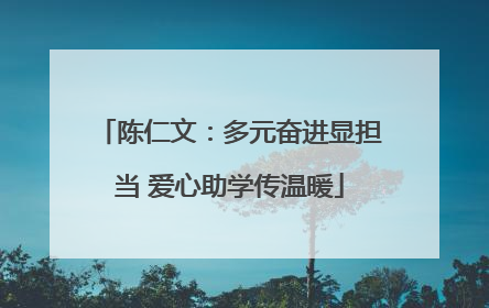 陈仁文：多元奋进显担当 爱心助学传温暖