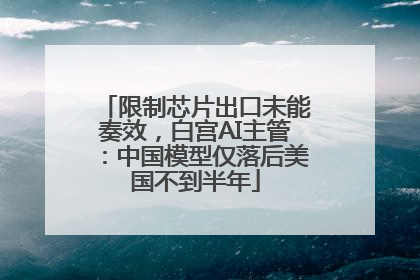 限制芯片出口未能奏效，白宫AI主管：中国模型仅落后美国不到半年