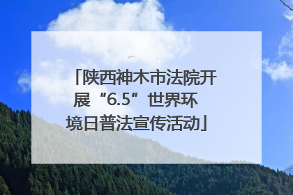 陕西神木市法院开展“6.5”世界环境日普法宣传活动