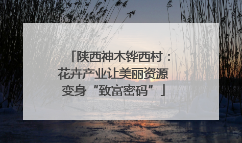 陕西神木铧西村：花卉产业让美丽资源变身“致富密码”