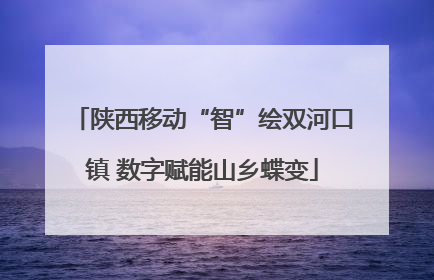 陕西移动“智”绘双河口镇 数字赋能山乡蝶变