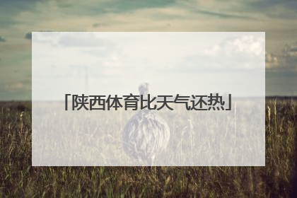 陕西体育比天气还热