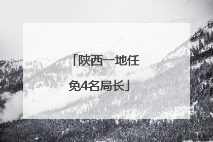 陕西一地任免4名局长