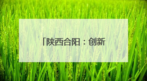 陕西合阳：创新村规民约让乡村治理焕发新的生机