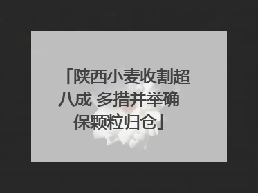 陕西小麦收割超八成 多措并举确保颗粒归仓