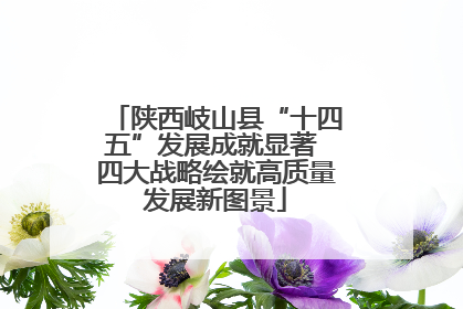 陕西岐山县“十四五”发展成就显著 四大战略绘就高质量发展新图景