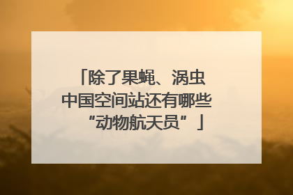 除了果蝇、涡虫 中国空间站还有哪些“动物航天员”