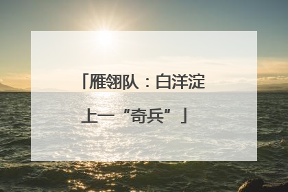 雁翎队：白洋淀上一“奇兵”