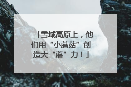 雪域高原上，他们用“小蘑菇”创造大“蘑”力！