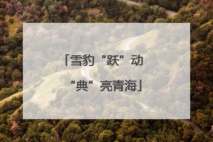 雪豹“跃”动 “典”亮青海