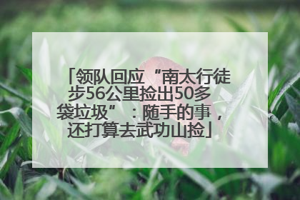 领队回应“南太行徒步56公里捡出50多袋垃圾”：随手的事，还打算去武功山捡