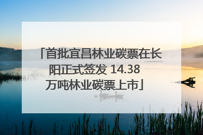 首批宜昌林业碳票在长阳正式签发 14.38万吨林业碳票上市