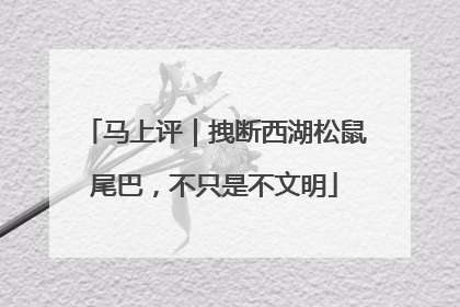马上评｜拽断西湖松鼠尾巴，不只是不文明