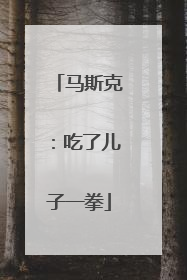 马斯克：吃了儿子一拳