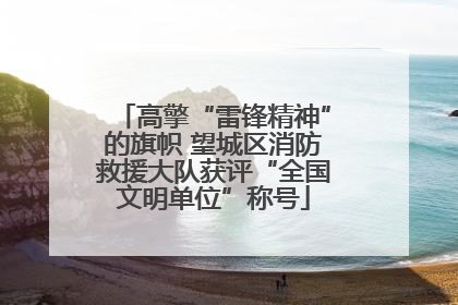 高擎“雷锋精神”的旗帜 望城区消防救援大队获评“全国文明单位”称号