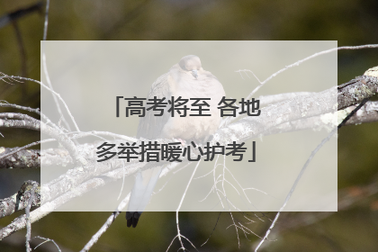 高考将至 各地多举措暖心护考