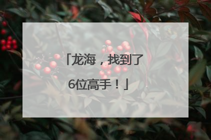 龙海，找到了6位高手！
