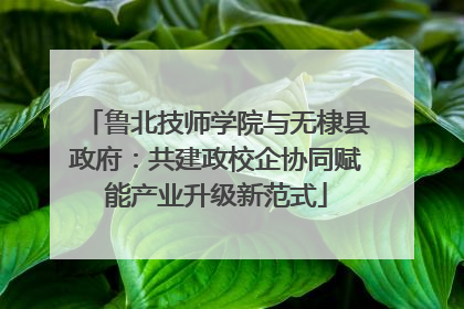 鲁北技师学院与无棣县政府：共建政校企协同赋能产业升级新范式