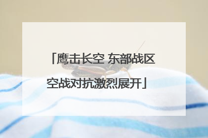 鹰击长空 东部战区空战对抗激烈展开