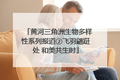 黄河三角洲生物多样性系列报道②飞羽翩跹处 和美共生时