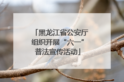 黑龙江省公安厅组织开展“六一”普法宣传活动